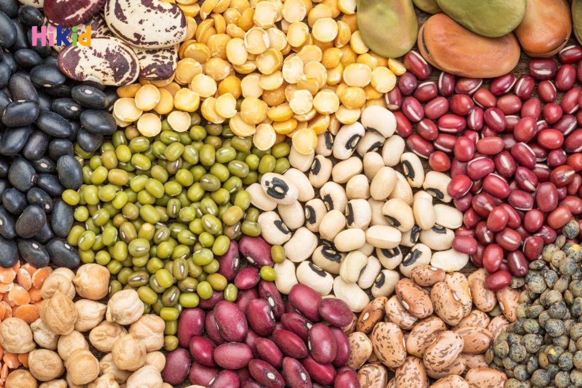 Các loại đậu là thực phẩm rất giàu protein thực vật