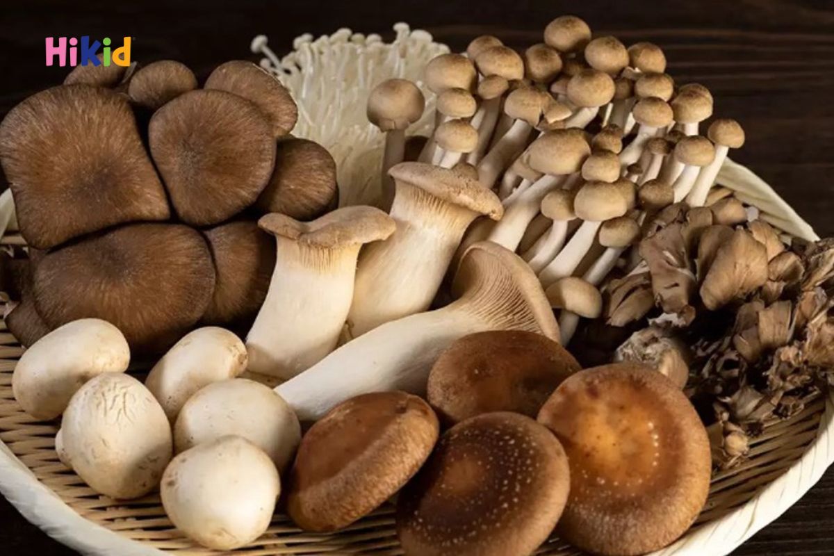 Trong nấm chứa rất nhiều vitamin D