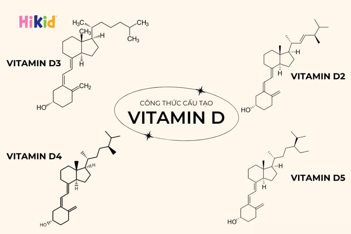 Công thức cấu tạo các loại Vitamin D
