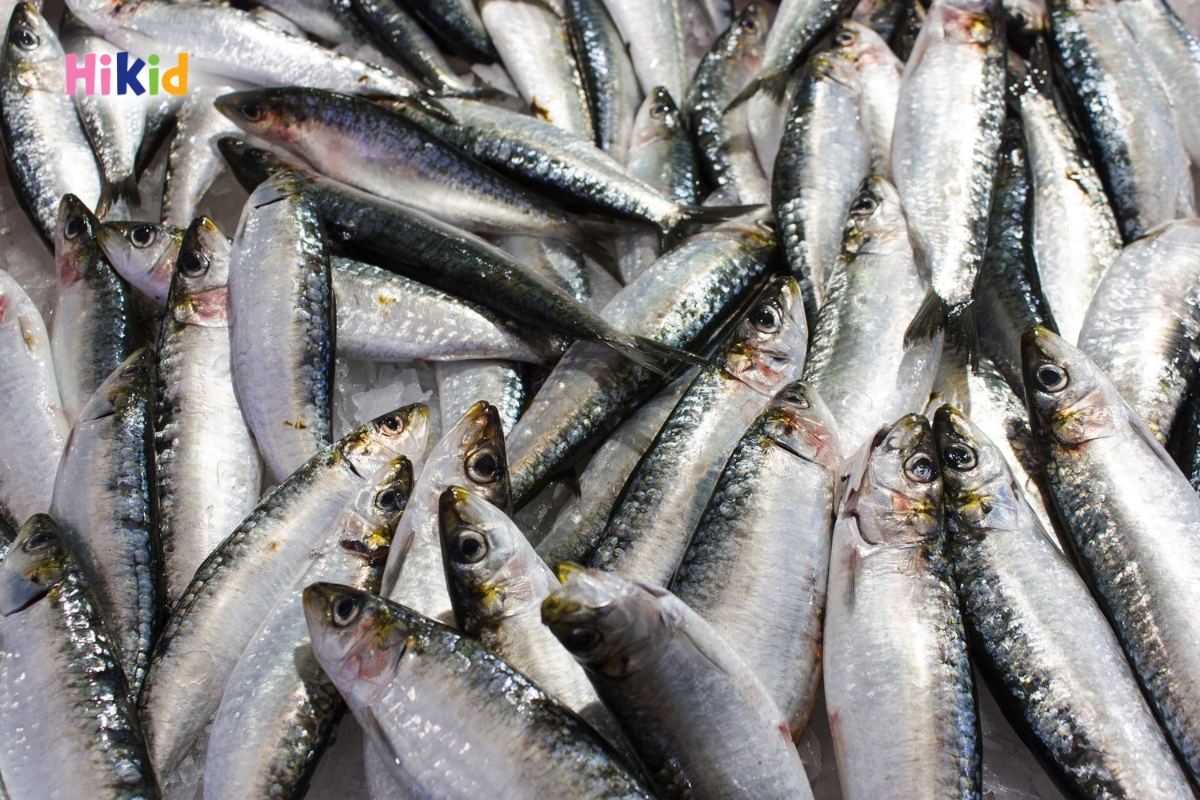 Cá trích có nhiều xương dăm nên cần chế biến cẩn thận