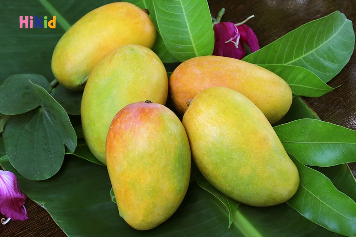 Xoài chứa nhiều Vitamin và Omega